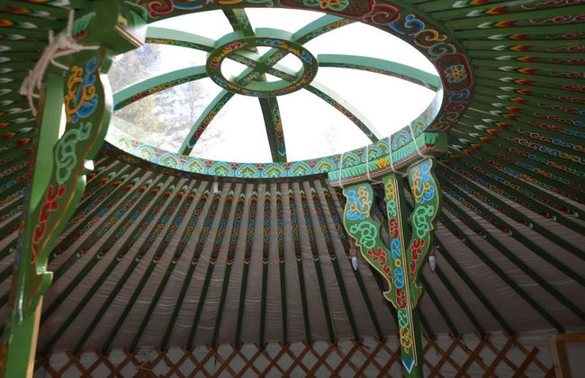 Green Yurt With Hot Tub - Sleeps 3, Parking & Wifi - Foto 21