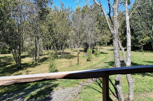 Foto 45 - Wonderful Rustic Cabin 2, With Native Logs, on the Banks of the Trancura River