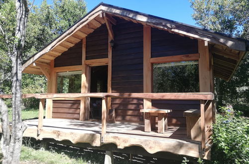 Foto 41 - Wonderful Rustic Cabin 2, With Native Logs, on the Banks of the Trancura River