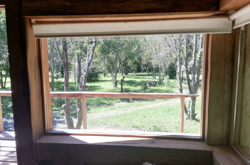 Photo 28 - Wonderful Rustic Cabin 2, With Native Logs, on the Banks of the Trancura River