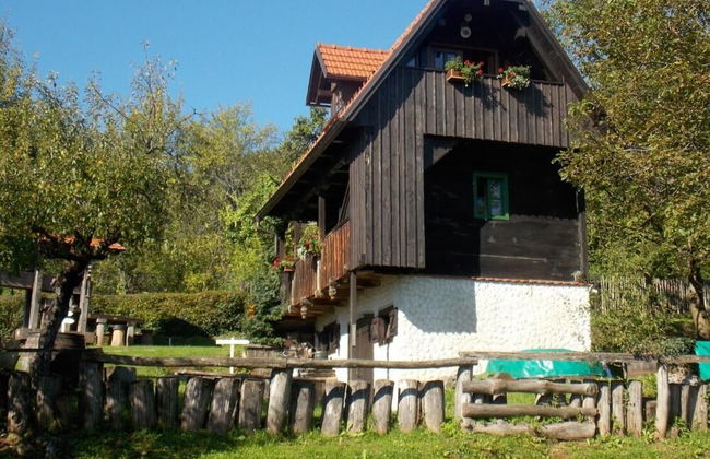 Country House Etno Kuca pod Okicem - Foto 24