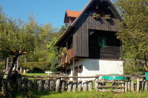 Photo 23 - Country House Etno Kuca pod Okicem