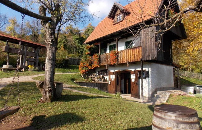 Country House Etno Kuca pod Okicem - Foto 12