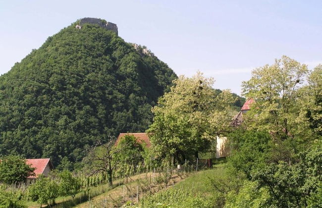 Country House Etno Kuca pod Okicem - Foto 14