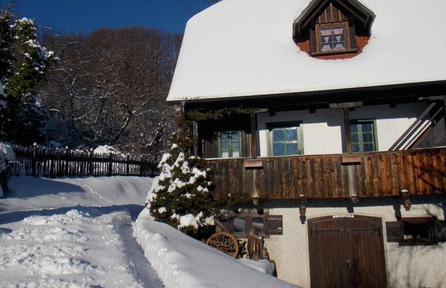 Country House Etno Kuca pod Okicem - Foto 17