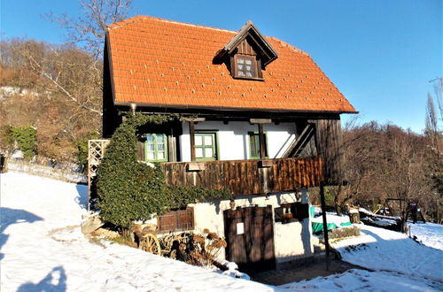 Photo 25 - Country House Etno Kuca pod Okicem