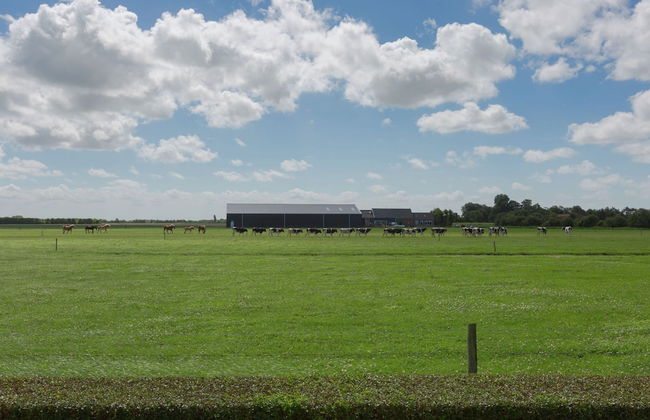 Holiday Home in Oostkapelle Near Beach - Photo 6