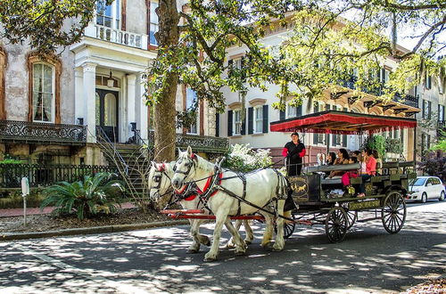 Photo 20 - Southern Belle Carriage House