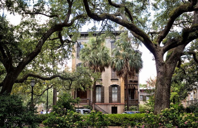 Southern Belle Carriage House - Foto 24