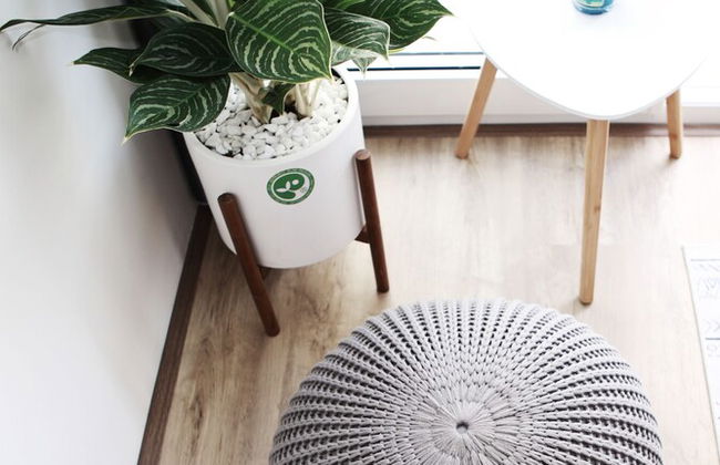 Dreamer Homestay - Foto 16