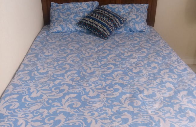 Sand Dollar Vacation Apartment Rental - Photo 11
