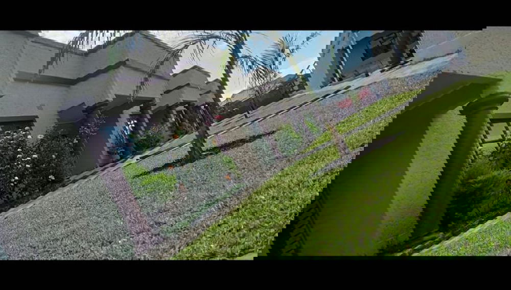 Imagem principal