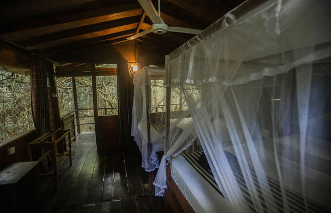 Inn On The Tree Eco Resort Sigiriya - Foto 3
