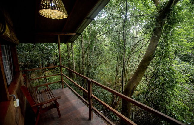 Inn On The Tree Eco Resort Sigiriya - Foto 1