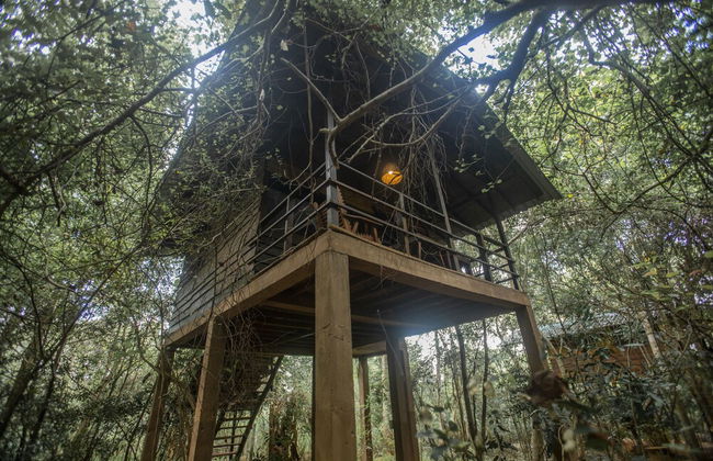 Inn On The Tree Eco Resort Sigiriya - Foto 15