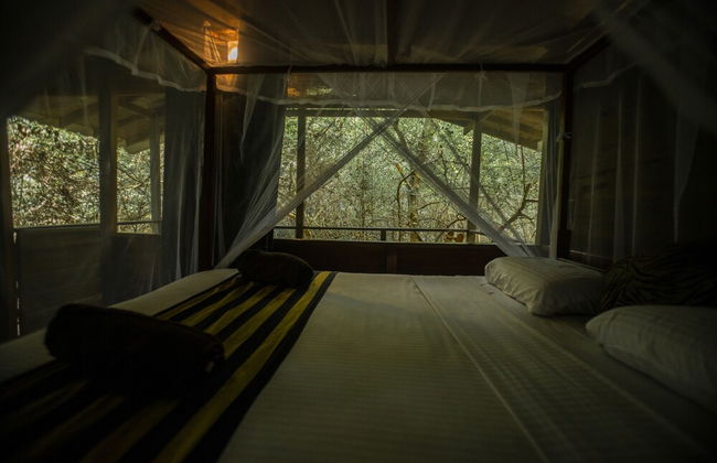 Inn On The Tree Eco Resort Sigiriya - Foto 4