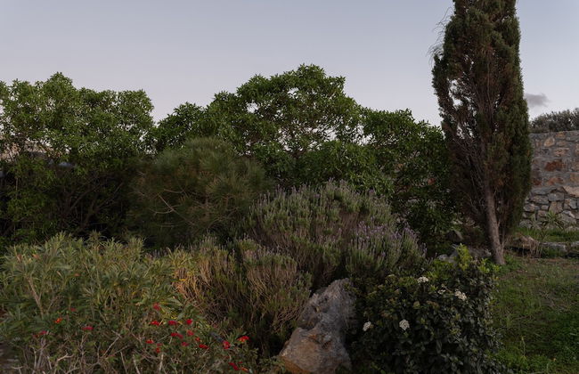 Terra Della Salvia - Foto 47