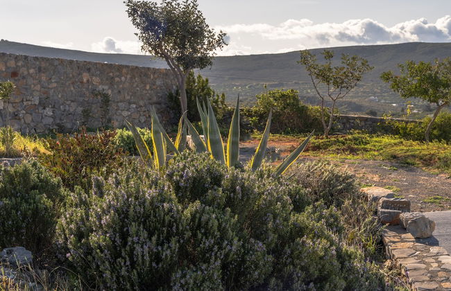 Terra Della Salvia - Foto 48
