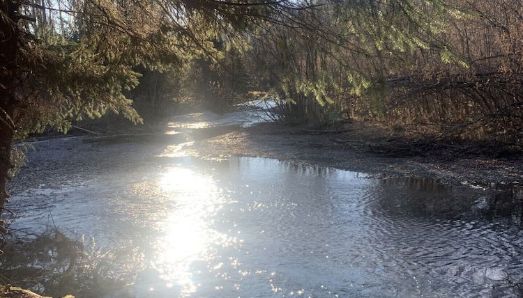 Foto 1 - Bear Bottoms at Salmon Creek