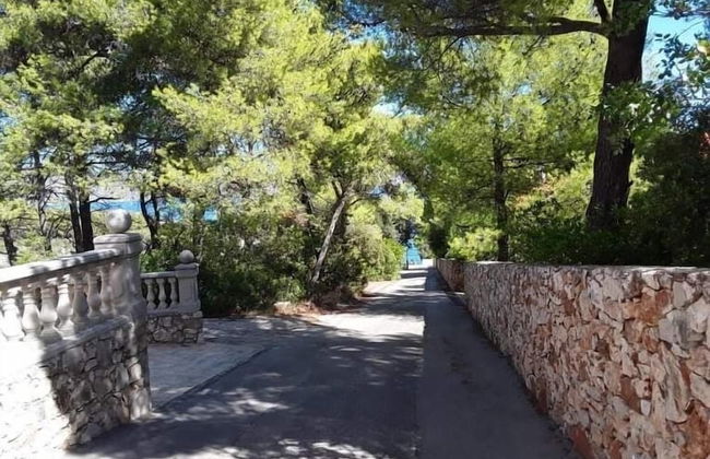Makaj - 80 m From the Beach - R1 - Foto 13
