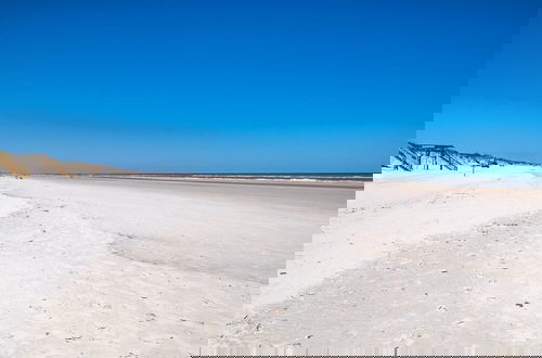 Photo 41 - Paradisea