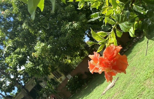 YanceyLargo- 4BR Villa Jacuzzi & Mountain Views by RedAwning - Photo 30
