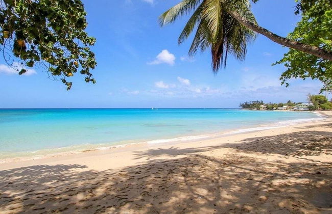 Palm Grove by Bluescape - Photo 47