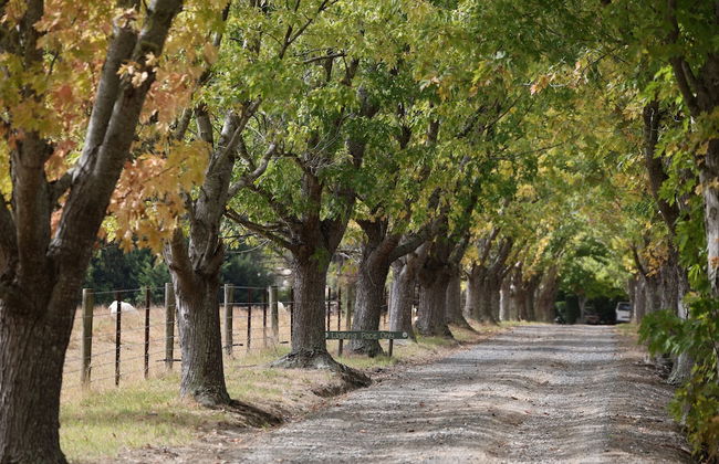 StayAU 2BR Yarra Valley Cottage - Foto 24
