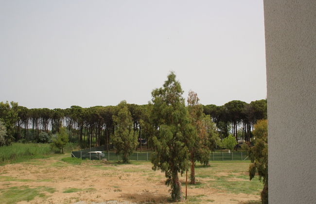 Levante - Foto 43