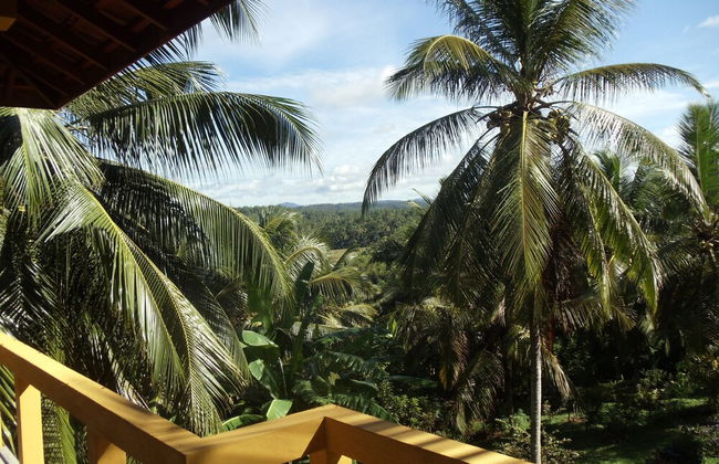Peacock Point - Whole Villa 2 Bedroom (Sleeps 4) - Photo 7