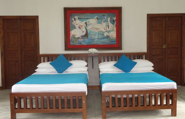Peacock Point - Whole Villa 2 Bedroom (Sleeps 4) - Photo 4