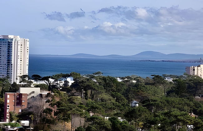 Oceana Suites Ocean Drive - Photo 25