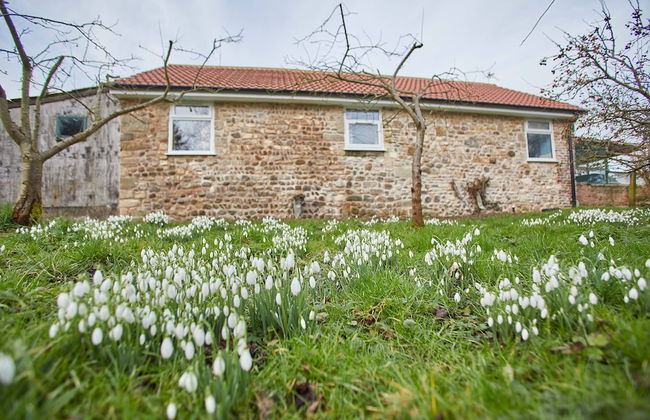 Snowdrop Cottage - Foto 24