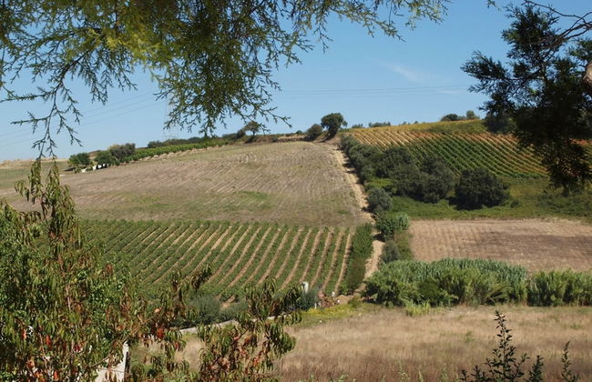 Sprawling Villa Near Alenquer - Foto 33