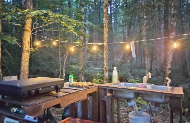 Schlafmans Hollow Solar Cabins - Foto 13