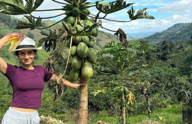 Finca La Macarena by Welttisch - Foto 64