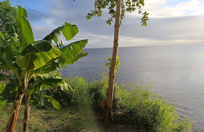 CLEMARA EVASION - Foto 51