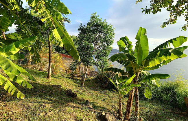 CLEMARA EVASION - Foto 52