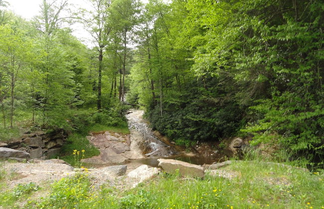 4 Seasons at Beech Mountain - Foto 60