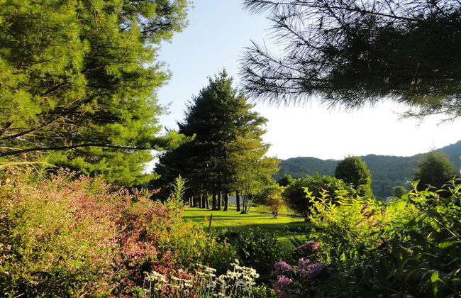 4 Seasons at Beech Mountain - Foto 62