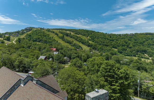 4 Seasons at Beech Mountain - Foto 73