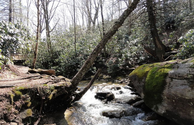 4 Seasons at Beech Mountain - Foto 61