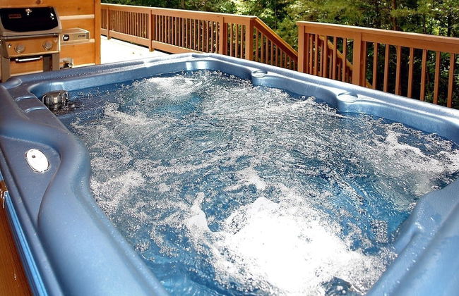 Mountain Laurel - 1 Bedrooms, 1 Baths, Sleeps 4 Cabin by RedAwning - Foto 10