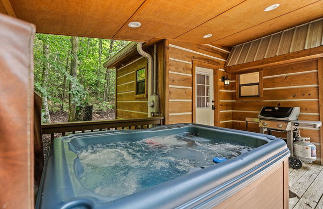 Mountain Laurel - 1 Bedrooms, 1 Baths, Sleeps 4 Cabin by RedAwning - Foto 22