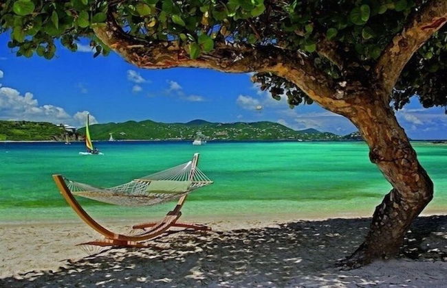 Ritz Carlton - Photo 41