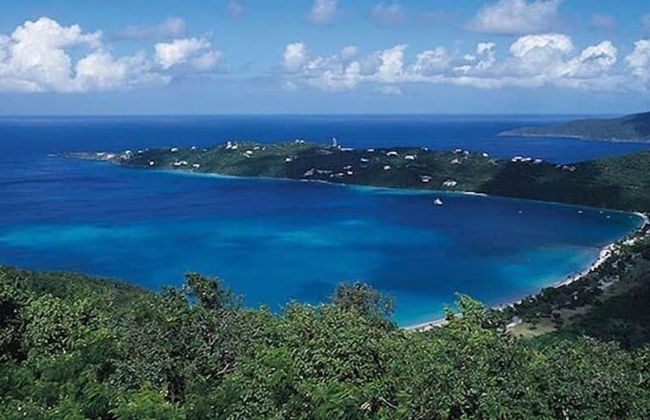 Ritz Carlton - Photo 49