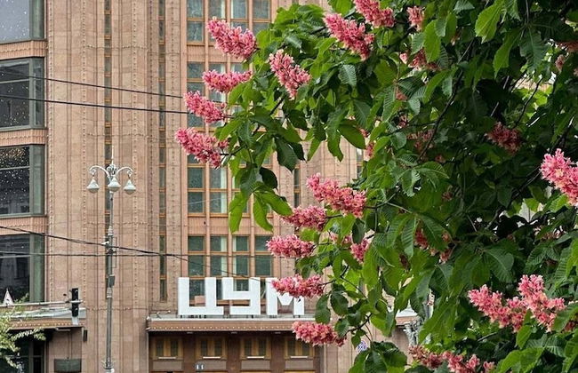 Manhattan High Line Apart - Photo 53