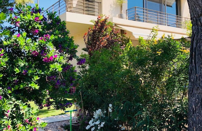 Azure House at Lagonissi - Photo 33