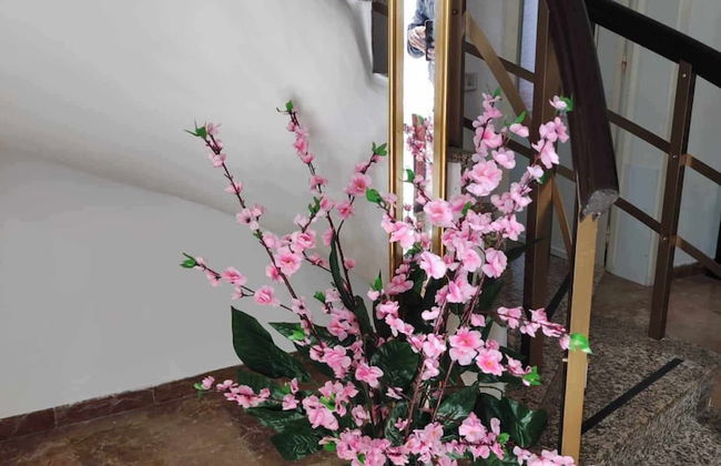Apartment in Centre of Salento - Foto 18