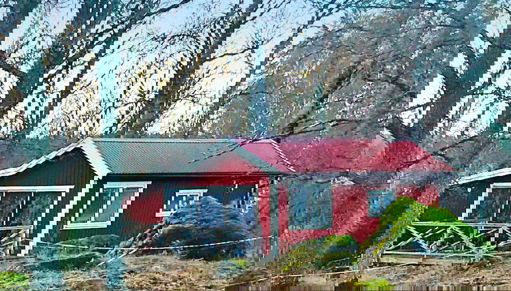 Immagine principale